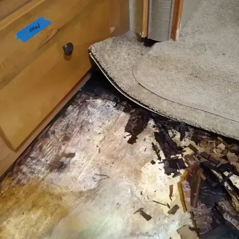 Wood Floor Water Damage in Silt, CO